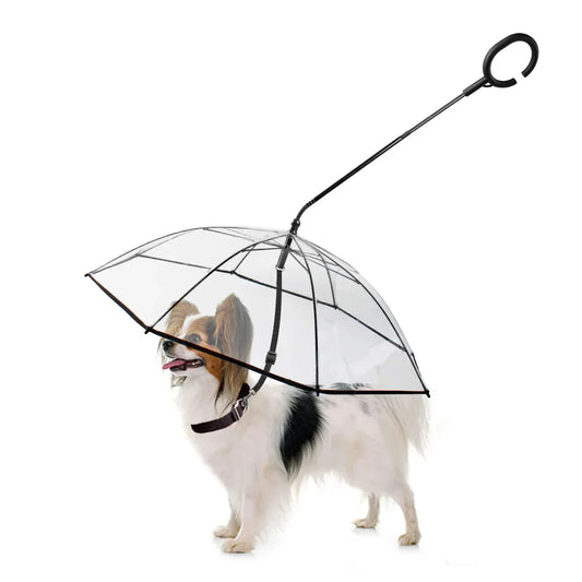Dog Umbrella with Leash