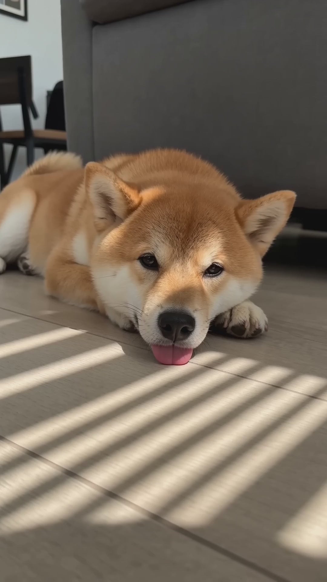 Overheated dog relaxes contentedly after lying on self-cooling ice-silk mat
